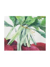 Komplet ręczników kuchennych z bawełny Marchè, 3 elem., Biały, zielony, czerwony, S 50 x D 70 cm