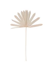 Palmblätter Flower Market, 4 Stück, Palmblätter, Beige, L 60 cm