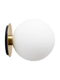 Applique a LED TR Bulb, Paralume: vetro opale, Base della lampada: ottone spazzolato, Ottonato, Ø 20 x Prof. 22 cm