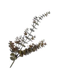 Ramo di eucalipto artificiale color marrone, Materiale sintetico, filo metallico, Marrone, Lung. 81 cm