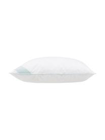 Oreiller à trois couches Premium, intermédiaire, Intermédiaire, larg. 80 x long. 80 cm