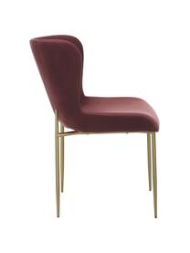 Fluwelen stoel Tess in bordeauxrood, Bekleding: fluweel (polyester), Poten: gepoedercoat metaal, Fluweel bordeauxrood, goudkleurig, B 49 x D 64 cm