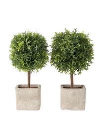 Set 2 alberi artificiali fatti a mano Moni, Verde, grigio, Larg. 12 x Alt. 26 cm