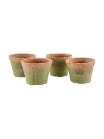 Set de pots de fleurs en terre cuite Daria, 5 élém., Terre cuite, brun, larg. 24 x haut. 10 cm