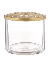 Set de jarrones pequeños con tapadera Kassandra, 2 uds., Jarrón: vidrio, Transparente, latón, Set de diferentes tamaños