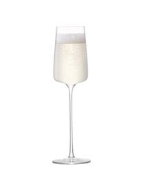 Kieliszek do szampana Metropolitan, 4 szt., Szkło, Transparentny, Ø 7 x W 25 cm, 230 ml