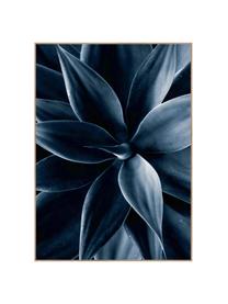 Oprawiony druk cyfrowy Dark Plant I, Czarny, niebieski, S 50 x W 70 cm