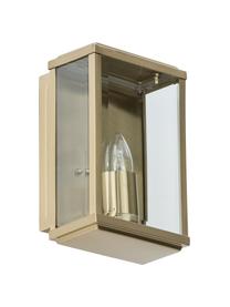 Applique murale d'extérieur style industriel Wally, Acier inoxydable, revêtement par poudre, vitres en verre, Laiton, vieilli, transparent, larg. 16 x haut. 25 cm