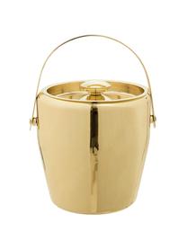Refrigeratore bottiglie Royal, Acciaio inossidabile, Dorato, Ø 19 x Alt. 20 cm