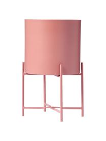 Cache-pots en métal sur pied Mina, 2 élém., Métal, revêtement par poudre, Rose, Lot de différentes tailles