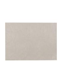 Grote hoogglans dienblad Hayley in grijs, Dienblad: MDF, vijflagig gelakt, Onderzijde: fluwelen hoes, Lichtgrijs, onderzijde: lichtgrijs, B 24 x D 33 cm