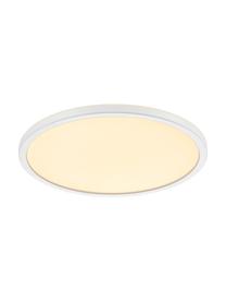 Plafón pequeño LED regulable Oja, Pantalla: plástico, Blanco, Ø 29 x Al 2 cm