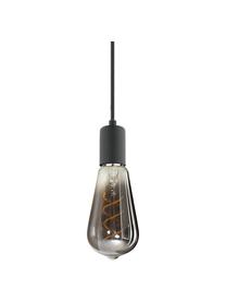 Kleine hanglamp Trey, Baldakijn: gepoedercoat metaal, Fitting: gepoedercoat metaal, Zwart, Ø 10 x H 8 cm