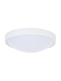 Kleines LED-Panel Altus, Lampenschirm: Kunststoff, Diffusorscheibe: Kunststoff, Weiß, Ø 30 x H 9 cm