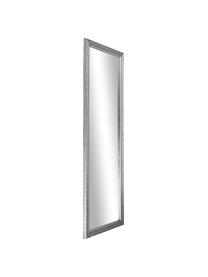 Barokke wandspiegel Muriel, Lijst: massief hout, gecoat, Zilverkleurig, B 50 x H 150 cm