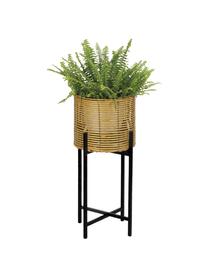 Cache-pot sur pied en métal Synthia, Brun, noir, Ø 26 x haut. 62 cm