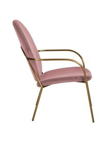 Samt-Loungesessel Mary in Rosa, Bezug: Samt (Polyester) 15.000 S, Gestell: Metall, beschichtet, Samt Altrosa, B 63 x T 73 cm