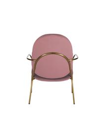 Sedia a poltrona in velluto Mary, Rivestimento: velluto (poliestere) 15.0, Struttura: metallo rivestito, Velluto rosa cipria, Larg. 63 x Prof. 73 cm