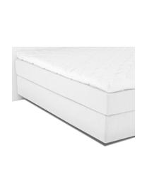 Letto Boxspring Premium Lacey, Materasso: a molle insacchettate a 7, Piedini: legno di faggio massiccio, Grigio chiaro, 200 x 200