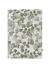 Paños de cocina de algodón Gigi, 2 uds., 100% algodón, Beige, verde, An 50 x L 70 cm