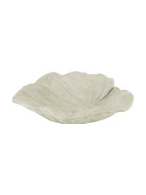 Decoratieve schaal Leaf van beton, Beton, Grijs, B 22 x H 6 cm