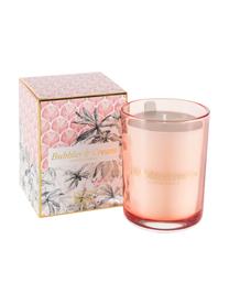 Vela perfumada Allure (agave amica, jazmín, madera de cedro), Caja: papel, Recipiente: cristal, Rosa, multicolor, An 9 x Al 12 cm