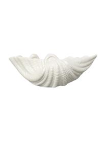 Mísa Shell aus Dolomit, Š 24 cm, Dolomit, Bílá, Š 23 cm, V 8 cm