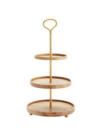 Etagere Alina aus Mangoholz mit goldenem Gestell, Gestell: Metall, beschichtet, Goldfarben, Mangoholz, Ø 30 cm