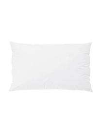 Imbottitura per cuscino in piume Comfort, 30 x 50, Bianco, Larg. 30 x Lung. 50 cm