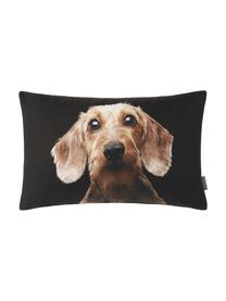 Housse de coussin rectangulaire Seppl, Noir, tons beiges