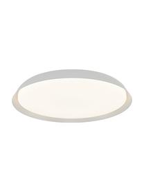 LED-Deckenleuchte Piso in Weiß, Lampenschirm: Metall, beschichtet, Weiß, Ø 37 x H 5 cm