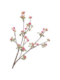 Kunstblumen Vergissmeinnicht, Pink, 2 Stück, Kunststoff, Metalldraht, Pink, L 66 cm