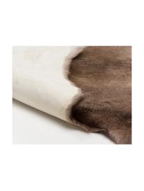 Rentierfell Niels, Vorderseite: 100% Rentierfell aus Finn, Hellbraun, Braun, Beige, 130 x 150 cm