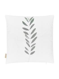 Kussenhoes Botanical met olijftak, Polyester, Wit, groen, 40 x 40 cm