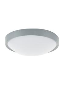 Plafón pequeño LED Altus, Estructura: metal, Gris, Ø 30 x Al 9 cm