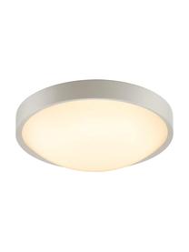 Petit plafonnier LED minimaliste Altus, Gris, Ø 30 x haut. 9 cm