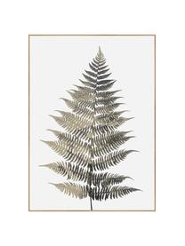 Ingelijste digitale print Fern One, Afbeelding: digitale druk op papier (, Lijst: gelakt HDF, Groentinten, wit, B 50 x H 70 cm