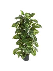 Planta artificial Potus, Poliéster, Látex, Polipropileno, Alambre de metal, Natural, Ø 40 x Al 120 cm