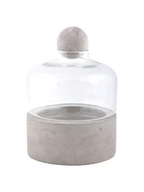 Terrario decorativo Budi, Grigio trasparente, Ø 18 x Alt. 24 cm