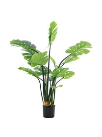 Planta artificial Minto, Fibra sintética, Verde, negro, Ø 112 x Al 150 cm