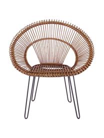 Rattan-Sessel Esteban, Sitzschale: Rattan, Beine: Stahl, Sitzschale: Rattan<br>Beine: Stahl, 64 x 89 cm