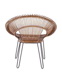 Rattan-Sessel Esteban, Sitzschale: Rattan, Beine: Stahl, Sitzschale: Rattan<br>Beine: Stahl, 64 x 89 cm