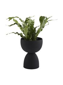 Cache-pot métal noir Lady, Acier, enduit, Noir, Ø 25 x haut. 33 cm