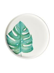 Assiettes à dessert en porcelaine motif tropical Timba, 4 élém., Porcelaine Fine Bone China
Fine Bone China est une porcelaine tendre, qui se distingue particulièrement par sa brillance et sa translucidité, Blanc, vert, couleur dorée, imprimé, Ø 21 cm