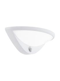 Aplique LED de exterior Belcreda, Estructura: aluminio, Pantalla: plástico, Blanco, An 33 x Al 13 cm