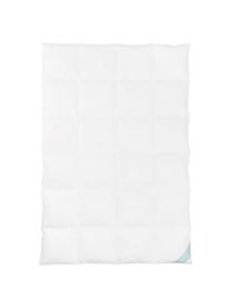 Zuiver donzen cassette-dekbed Premium, warm, Warm, B 200 x L 200 cm