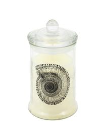 Vela perfumada Remember (almizcle), Vidrio, cera, Negro, blanco, Ø 8 x H 15 cm