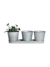 Kleine plantenpottenset Cina uit zink, 4-delig, Metaal, Metaalkleurig, B 33 cm x H 11 cm