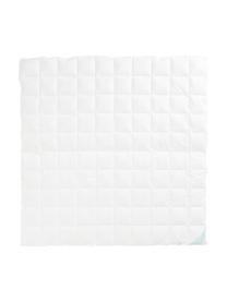 Edredón cuatro estaciones de plumón Komfort, normal, Blanco, Cama 135/140 cm (200 x 200)