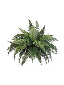 Planta artificial Helecho, Polietileno, Verde, Ø 65 cm